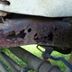 Image for article titled Here's Everything Wrong With My $500 Postal Jeep Off-Road Project
